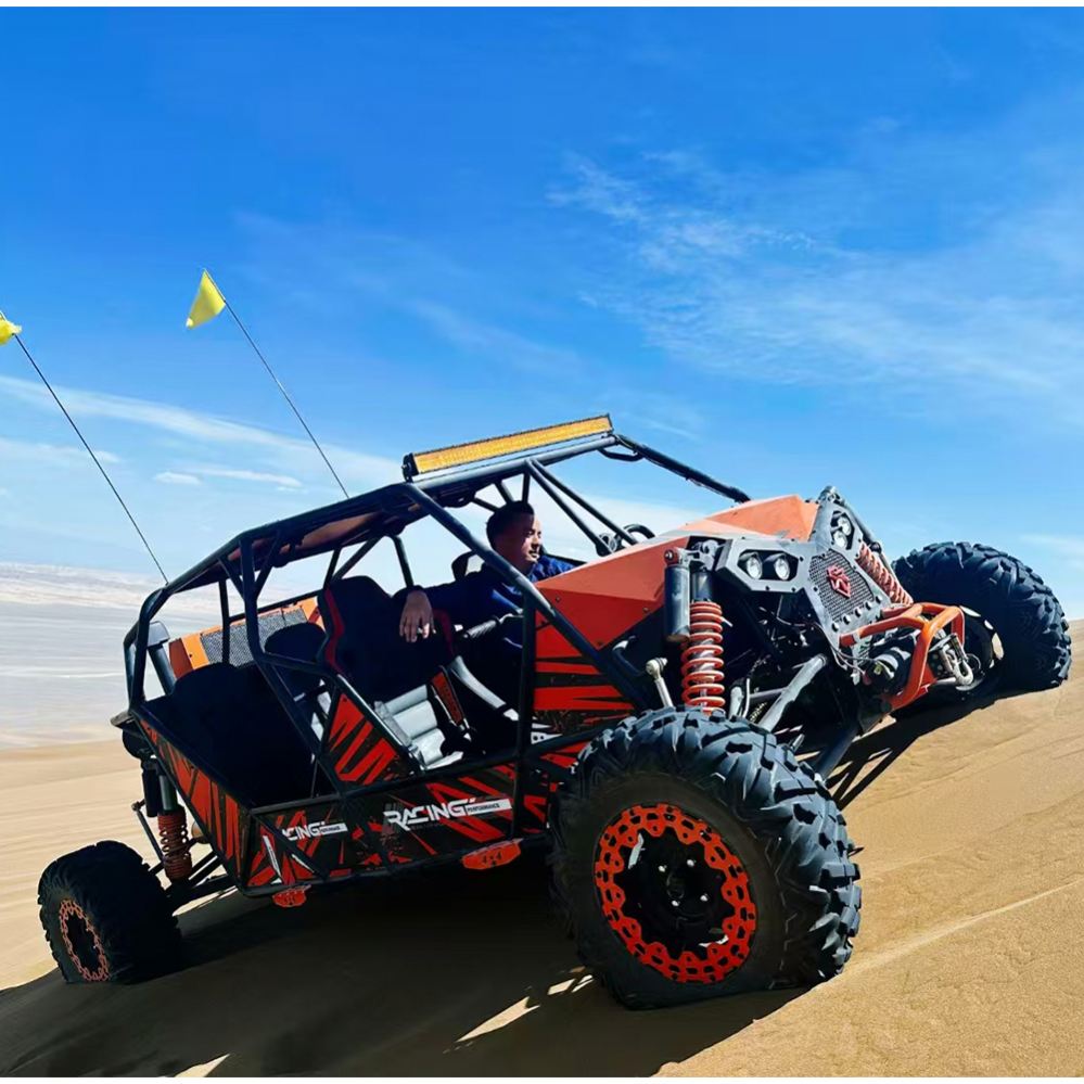 All-Terrain-Sandrail-Pedal-Gok – Outdoor Power And Pedal Bewertung und Preis