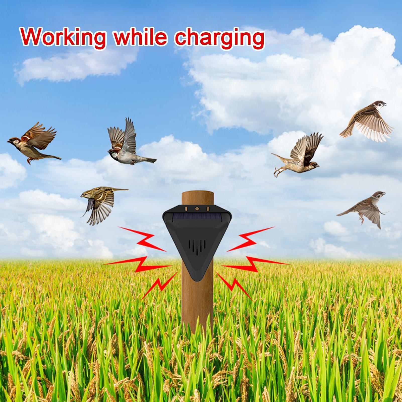 Solarbetriebener Vogelabwehr-T – Outdoor Power Hours Bewertung und Preis