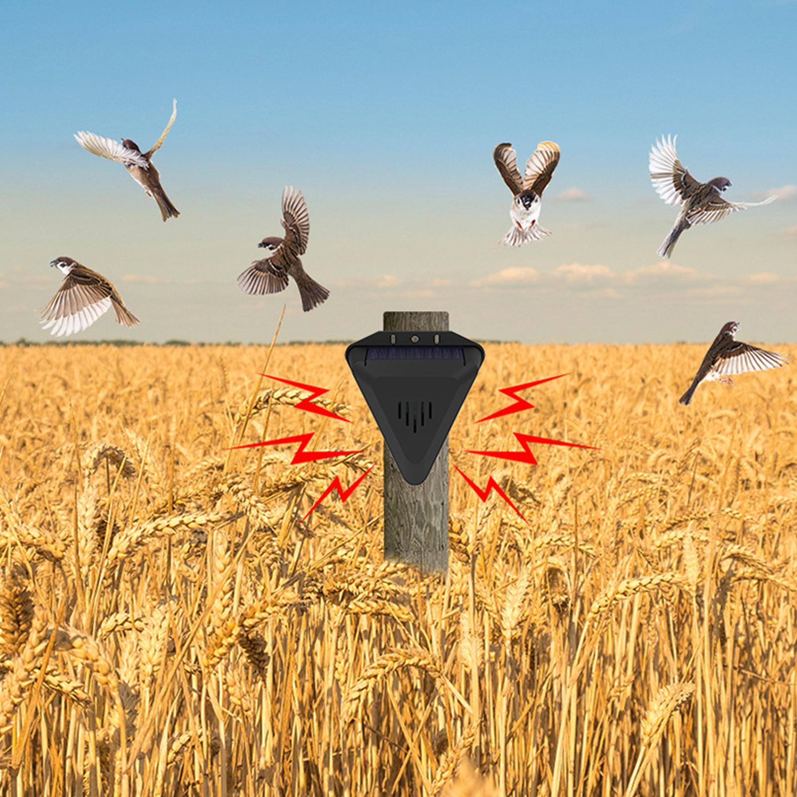 Solarbetriebener Vogelabwehr-T – Outdoor Power Hours Bewertung und Preis